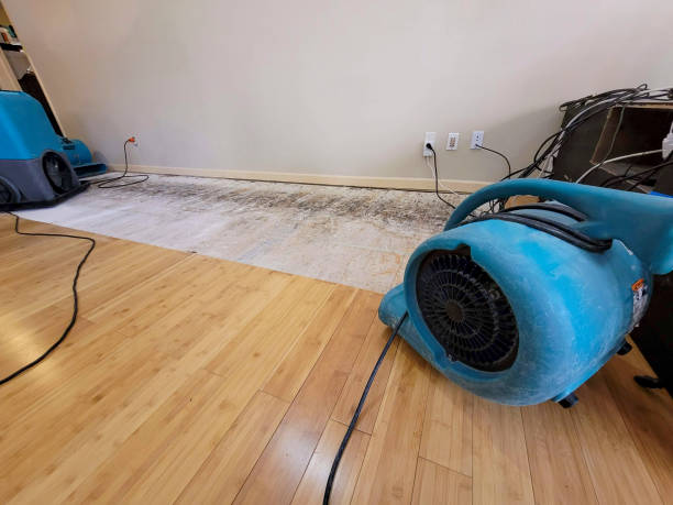 Professional Water Removal technician working in Elkridge, MD